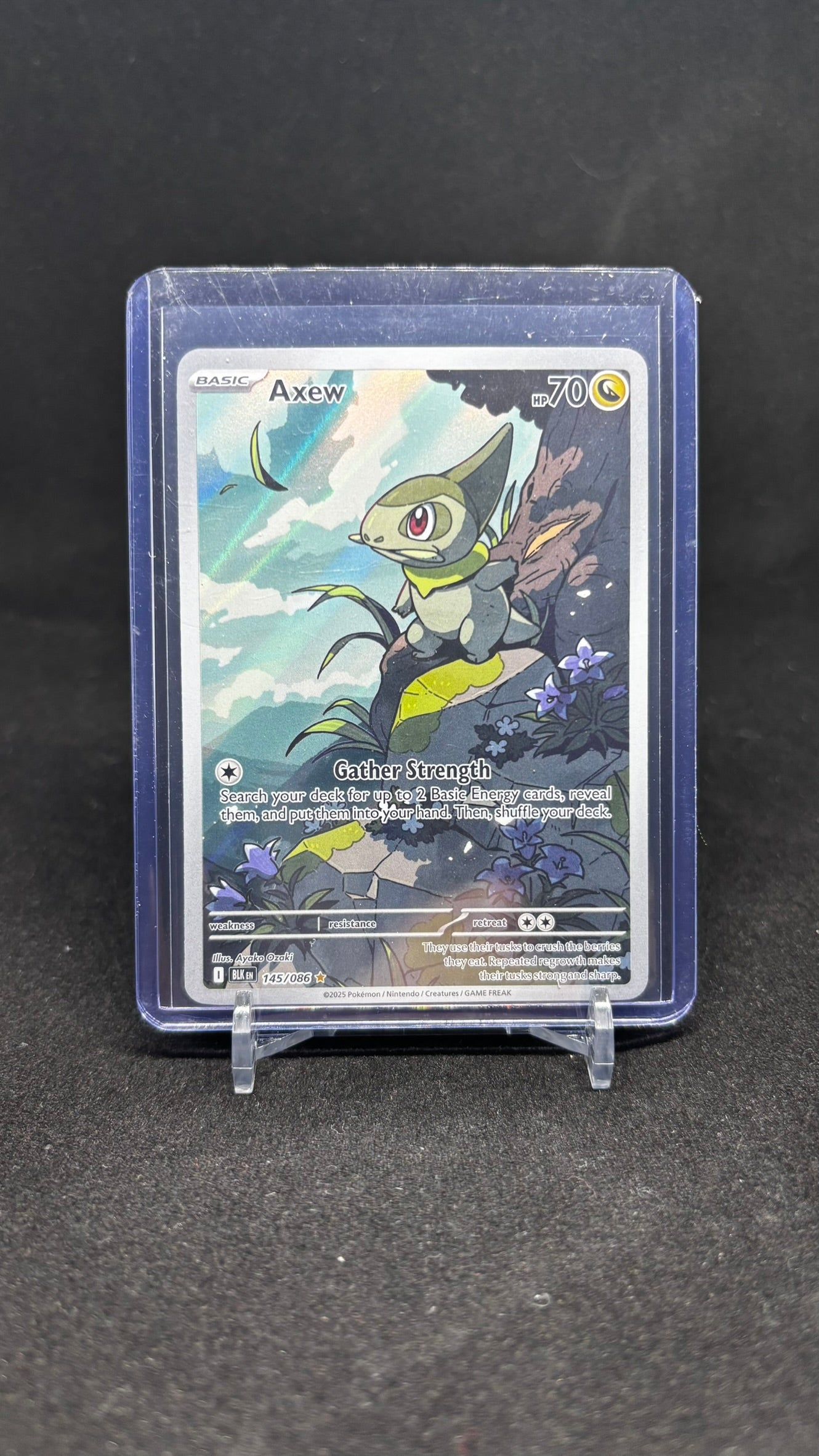 Axew #145 – Black Bolt